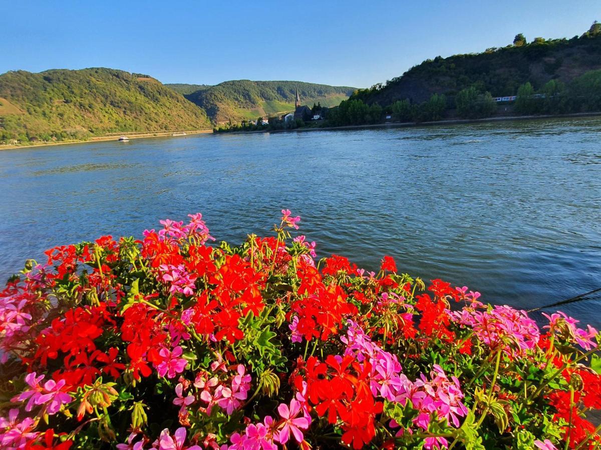 Grosse Wohnung Mit Rheinblick Boppard Luaran gambar